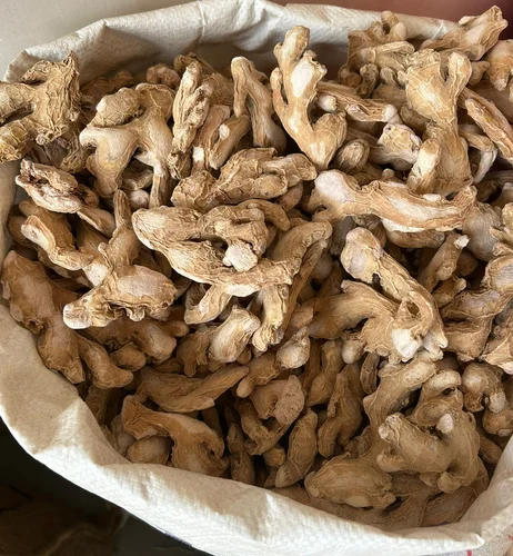 Signature Mediterranean Dish